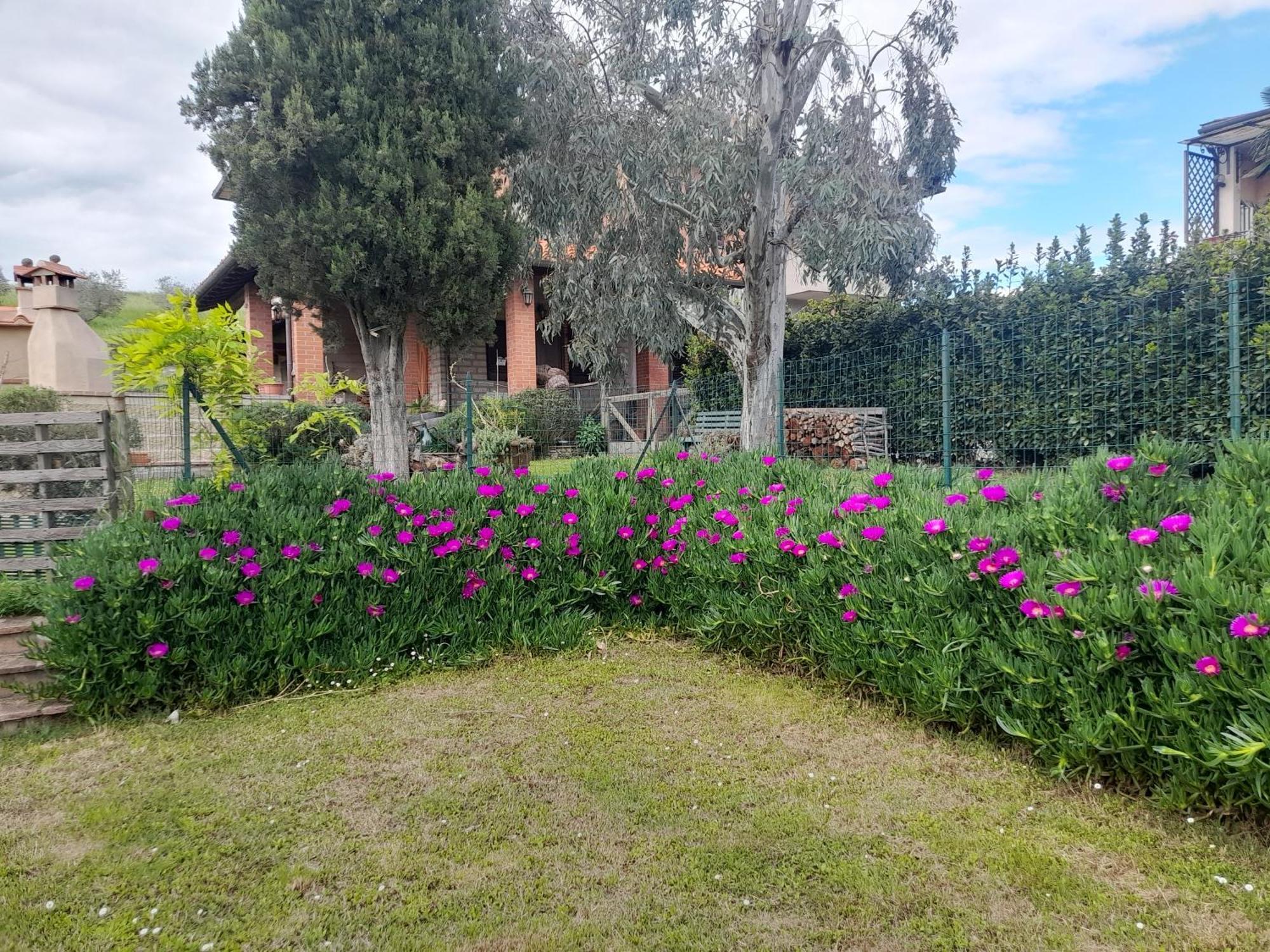 Agriturismo Santa Adriana Volterra Luaran gambar